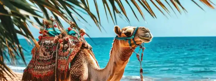 Turquoise water and the Red Sea coast near Hurghada