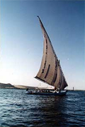 Felucca